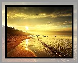 Morze, Plaża, Ptaki, Wschód Słońca