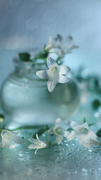 Białe kwiatki w wazoniku