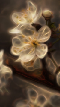 Białe kwiaty w grafice fractalius