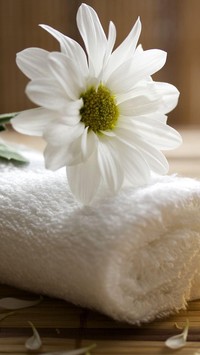 Biały kwiat na ręczniku