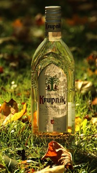 Butelka Krupniku w trawie