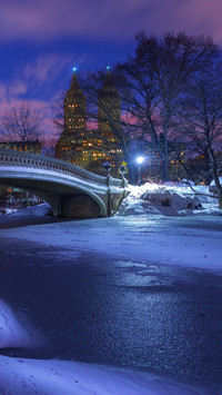 Central Park zimą