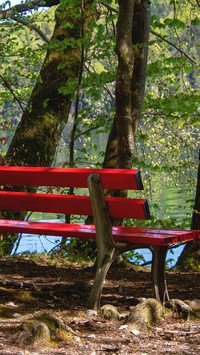 Czerwona ławka obok drzew