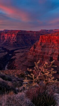 Czerwone skały w Wielkim Kanionie Kolorado