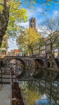 Domy i drzewa nad kanałem w Amsterdamie