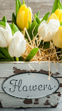 Drewniana doniczka z białymi i żółtymi tulipanami