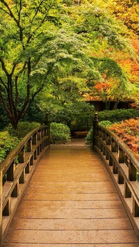 Drewniany mostek w parku