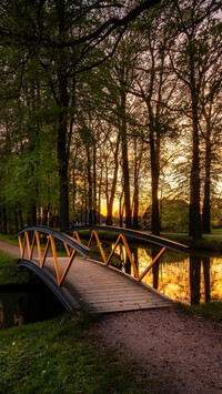 Drewniany mostek w parku