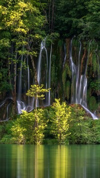 Drzewa przy wodospadach