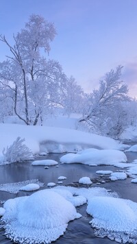 Drzewa w śniegu nad rzeką