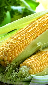 Dwie kolby kukurydzy