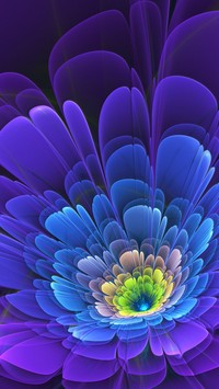 Fraktalowy kolorowy kwiatek