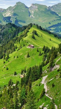 Góry i lasy w Szwajcarii