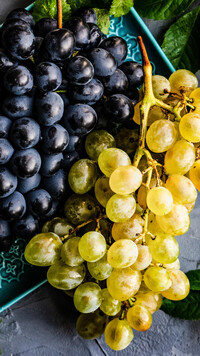 Jasne i ciemne kiście winogron