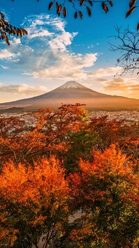 Jesienne krzewy i góra Fudżi w oddali