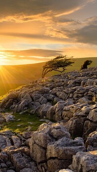 Kamieniste wzgórze w Parku Narodowym Yorkshire Dales