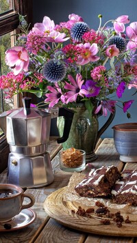 Kawiarka i kwiaty przy oknie