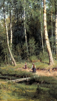 Kobiety w brzozowym lesie