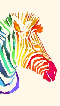 Kolorowa zebra