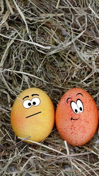 Kolorowe jajka na sianku