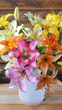 Kolorowe lilie w wazonie