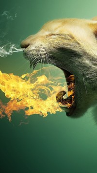 Kot ziejący ogniem