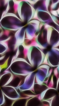 Kwiaty bzu w grafice fractalius