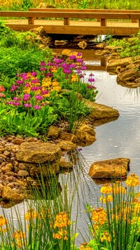 Kwiaty i kamienie nad potokiem