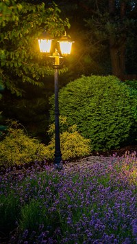Lampa w ogrodzie
