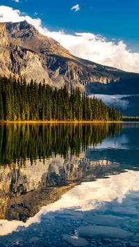 Las nad jeziorem w Kanadzie