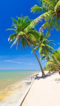 Lato w tropikach pod palmami nad morską plażą