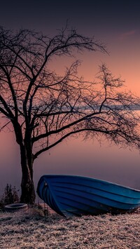 Łódka pod drzewem nad jeziorem
