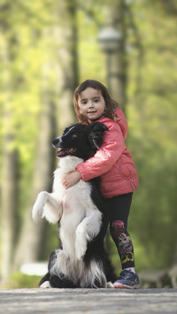 Mała dziewczynka z psem border collie