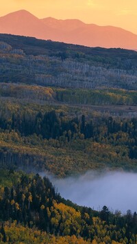 Mgła nad jesiennym lasem w dolinie