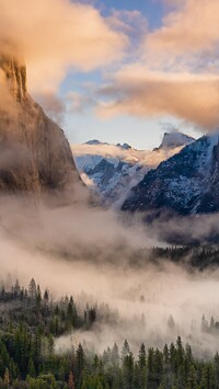 Mgła nad lasami w dolinie Yosemite Valley
