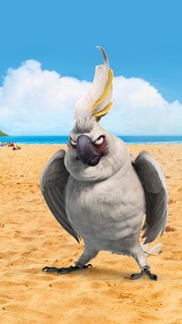 Naburmuszona papuga na plaży