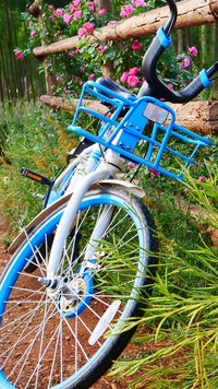 Niebieski rower