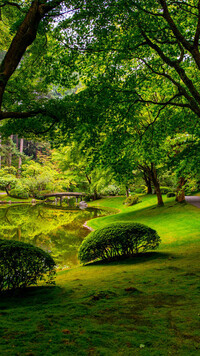 Ogród Nitobe Memorial Garden w Vancouver