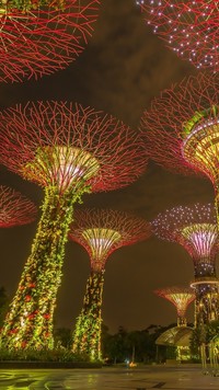 Ogród oświetlony nocą w Singapurze