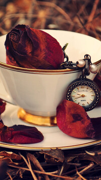 Pąk róży i zegarek w filiżance