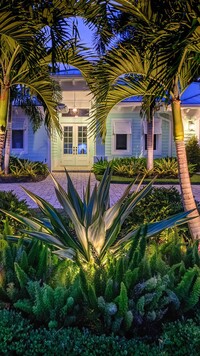Palmy i ogródek przed domem na Florydzie