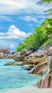 Palmy i skały na plaży Anse Cocos
