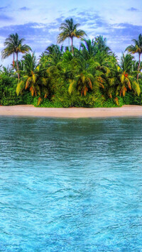 Palmy na plaży w tropikach