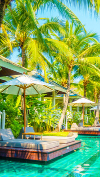Parasole i leżaki pod palmami w tropikach
