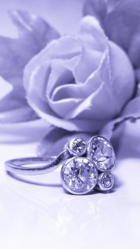 Pierścień i róża