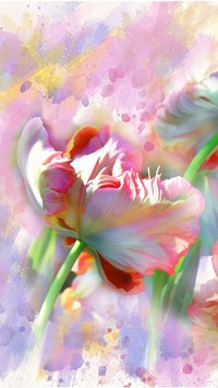 Pierzasty tulipan malowany akwarelą