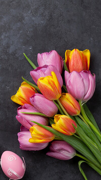 Pisanka i kolorowy bukiet tulipanów
