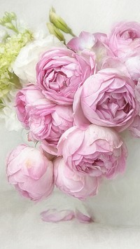 Róże koloru różowego w białym wazonie