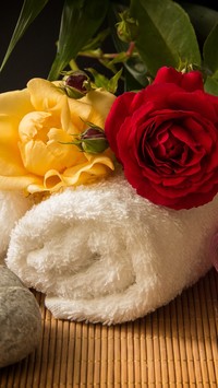 Róże na białym ręczniku