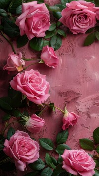 Różowe róże na różowym tle